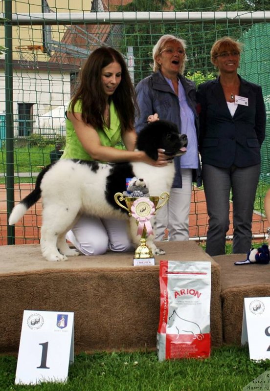 Фотография № 129136