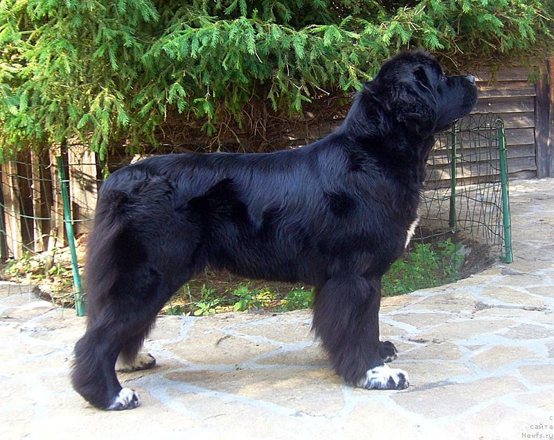 Фотография № 129192