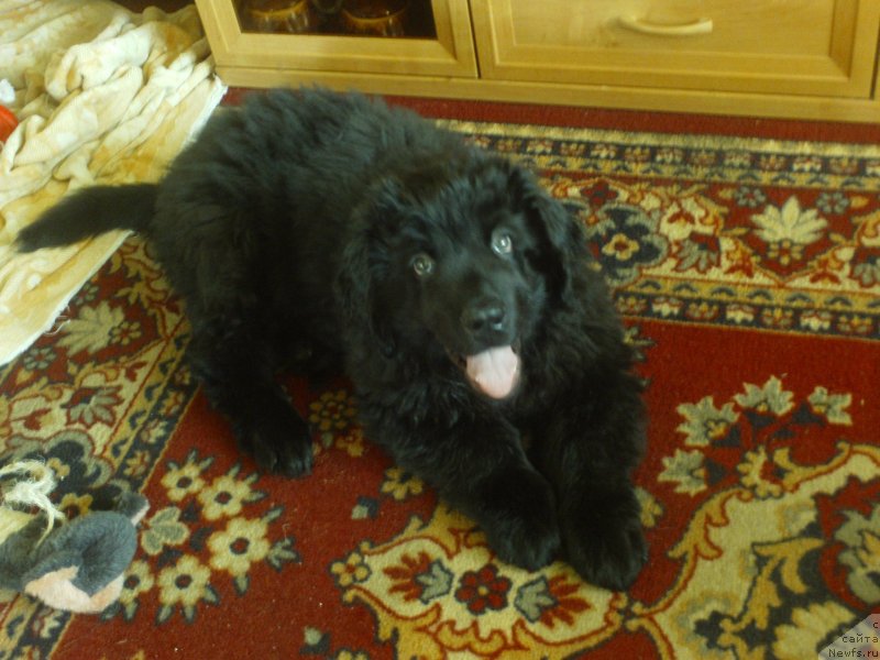 Фото: Anna Kuz'mina (Анна Кузьмина)