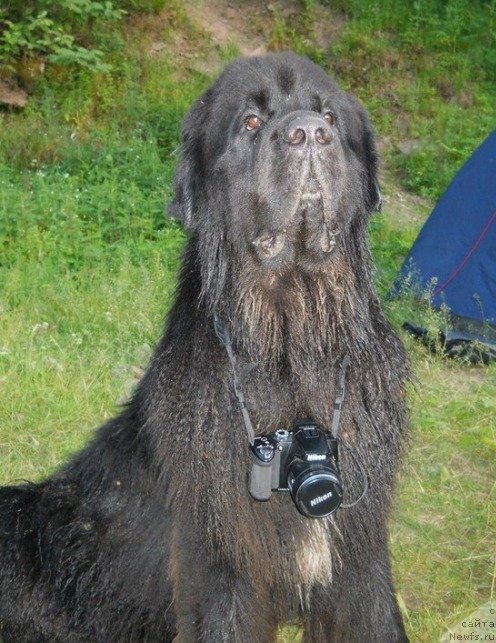 Фотография № 129233