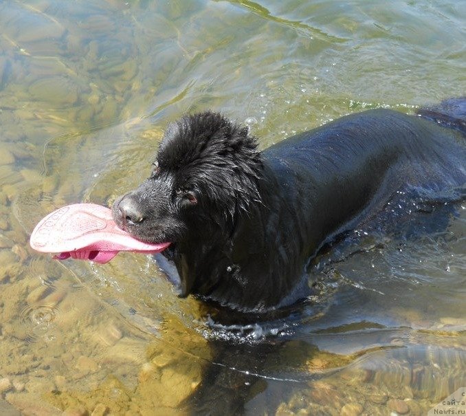 Фотография № 129241