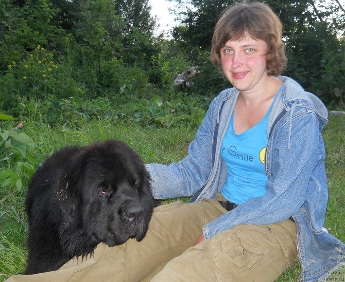 Фотография № 129242