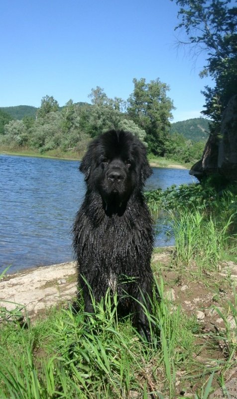 Фотография № 129243