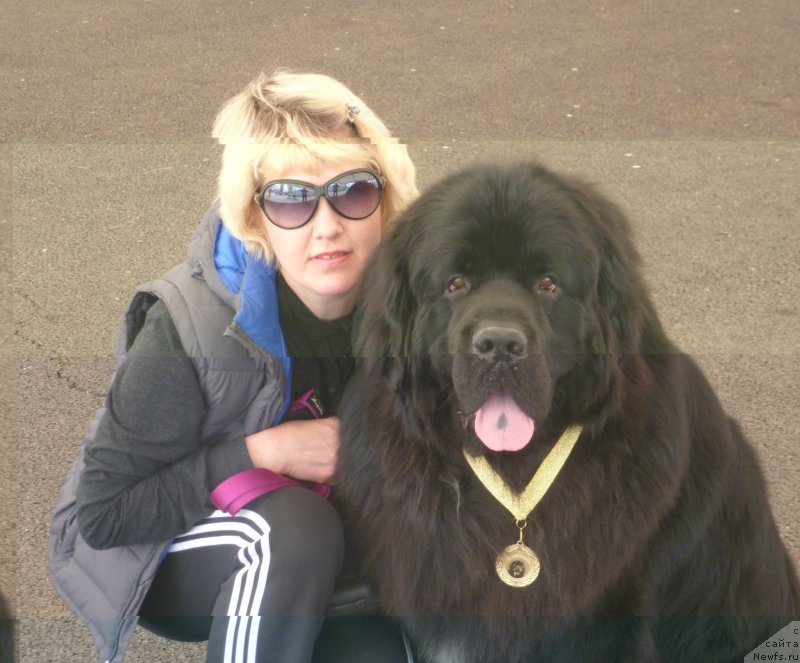 Фото: ньюфаундленд Na Grebne Volnyi Korolevskiy Syin (На Гребне Волны Королевский Сын)