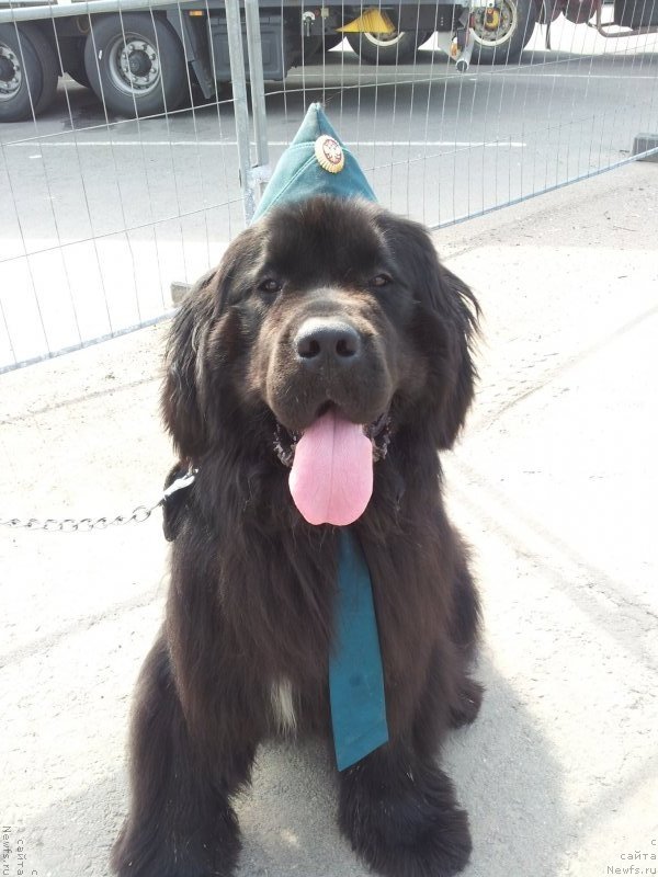 Фотография № 129313