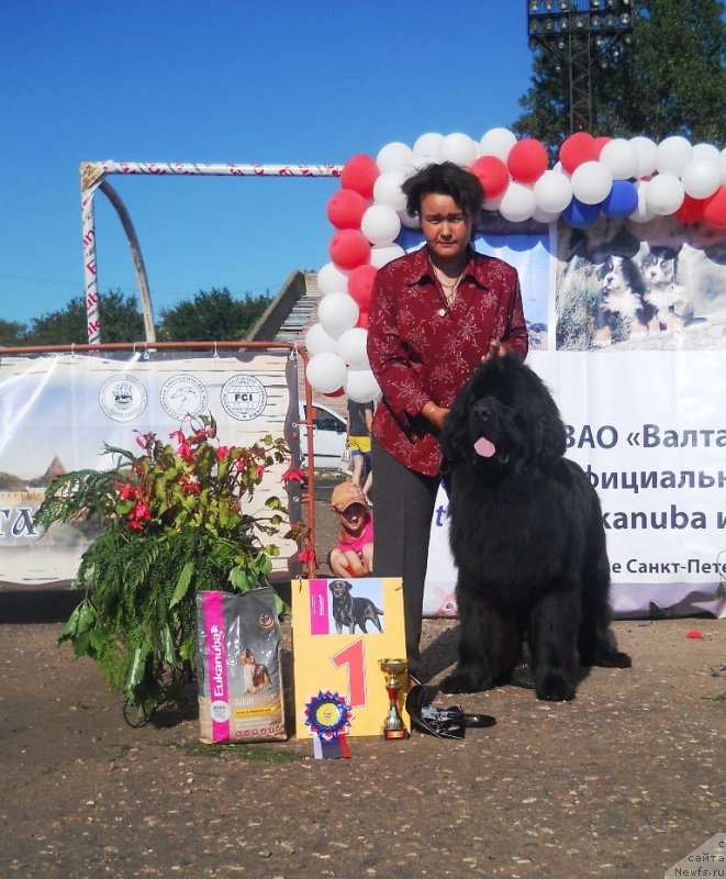 Фотография № 129322