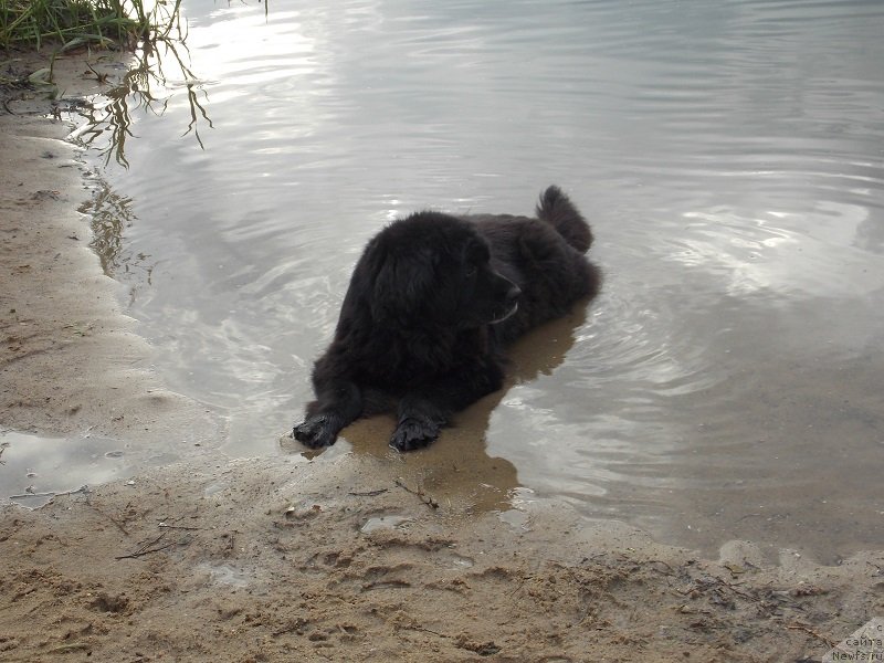 Фотография № 129327