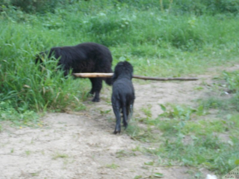 Фотография № 129328