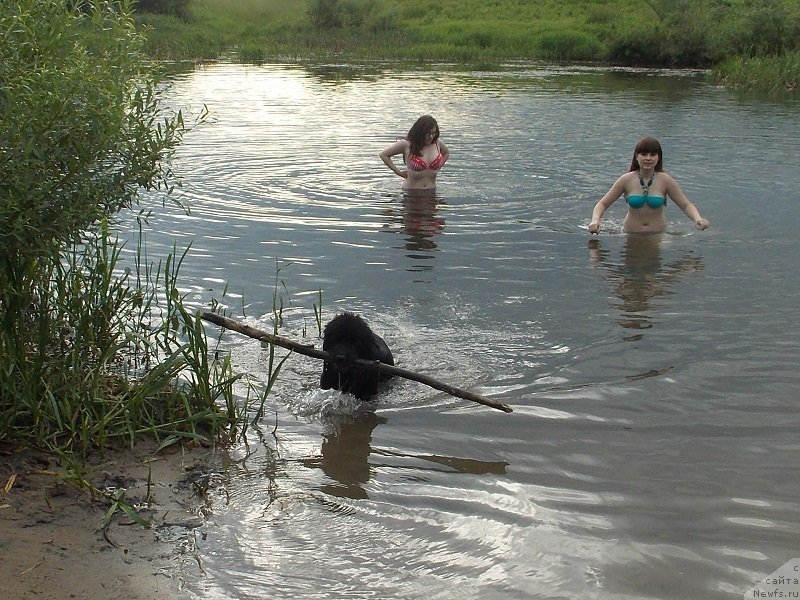 Фотография № 129331