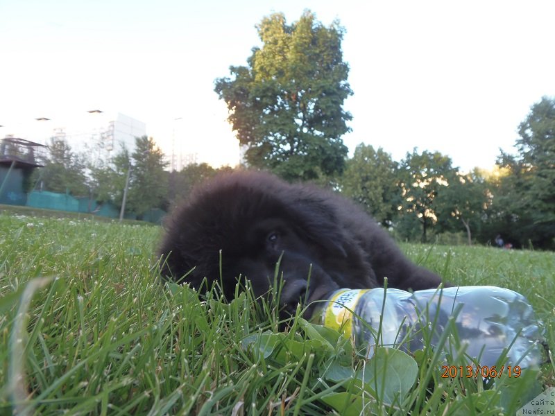 Фотография № 129341