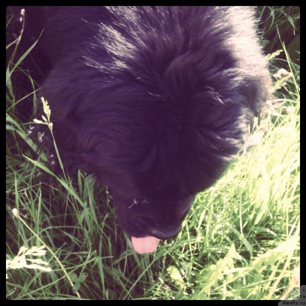 Фотография № 129418