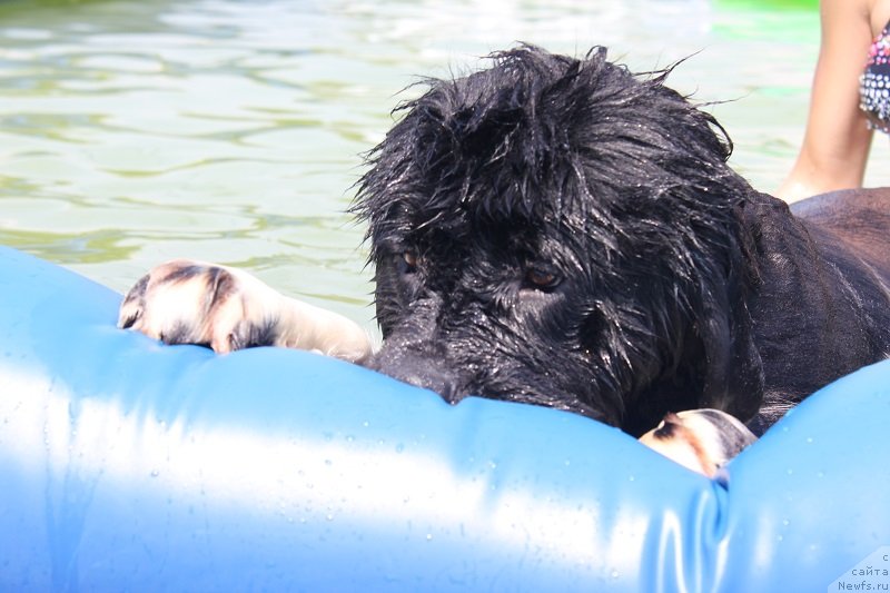 Фотография № 129428