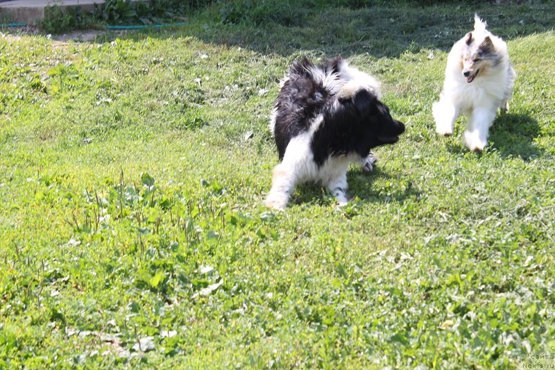 Фотография № 129429