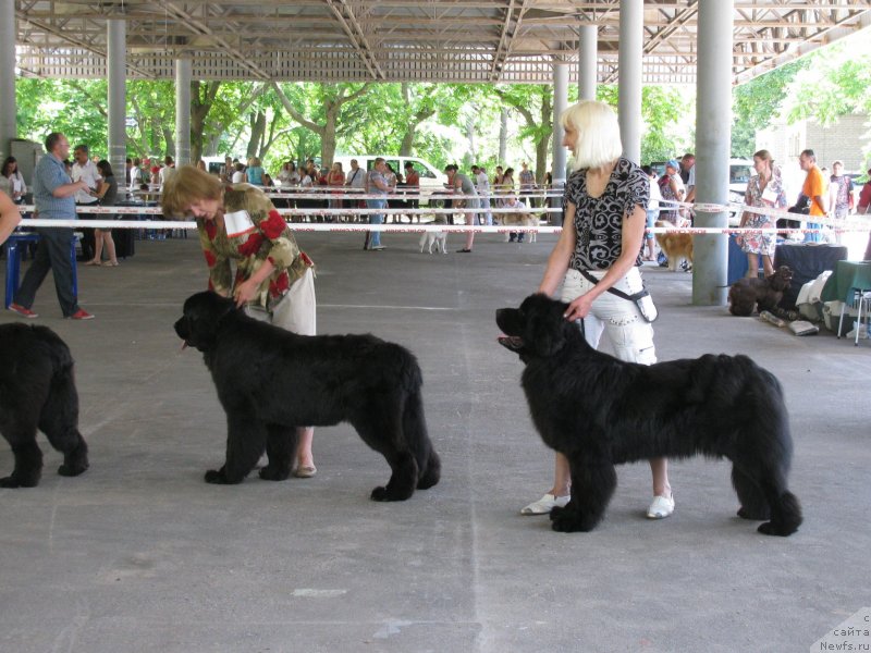 Фотография № 129441