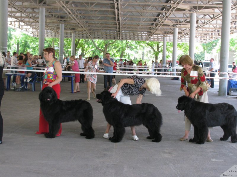 Фотография № 129442