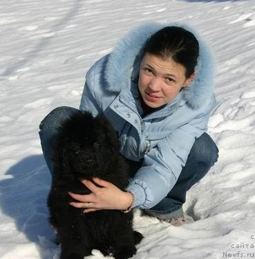Фото: Evgeniya Ivanova (Евгения Иванова), ньюфаундленд Kaiden Playful (Кайден Плейфул)