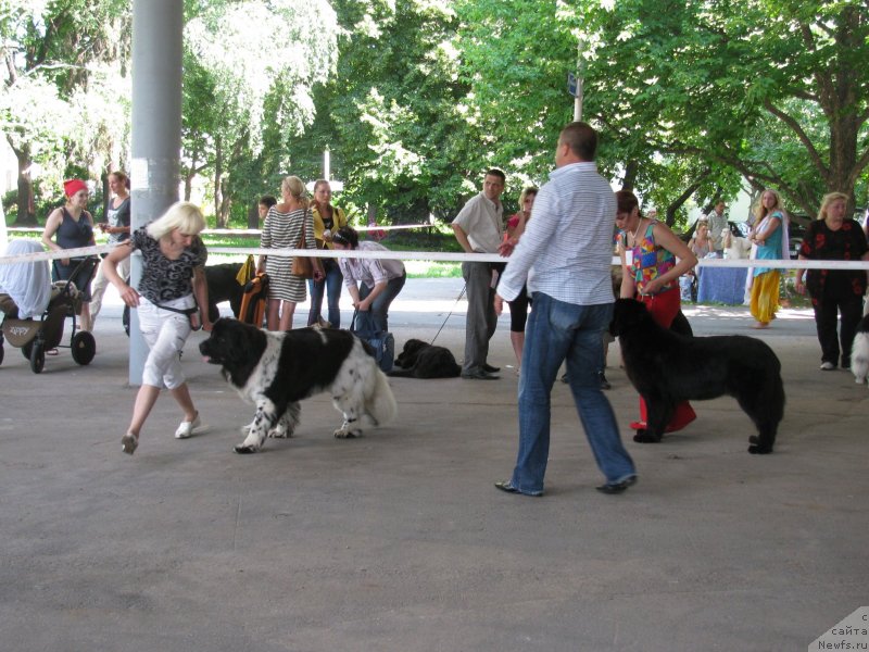 Фотография № 129454