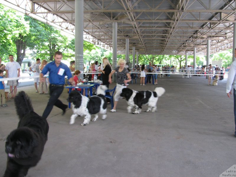 Фотография № 129459