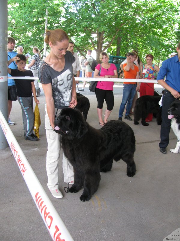 Фотография № 129461