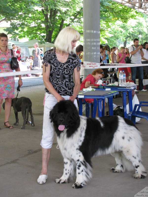 Фотография № 129464