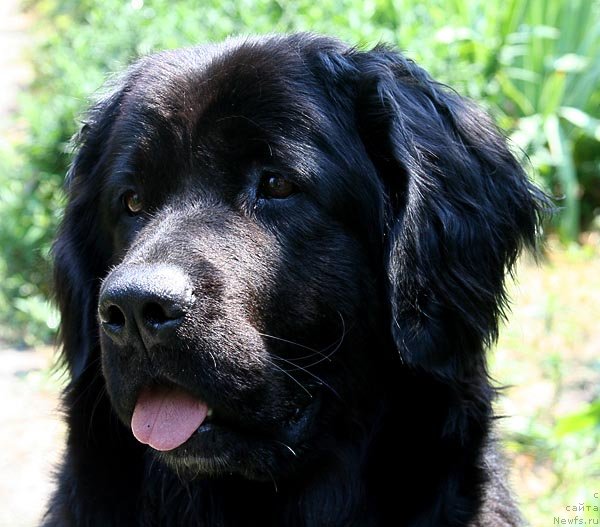 Фото: Jetem Fiona Armani