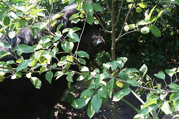 Фото: Jetem Fiona Armani