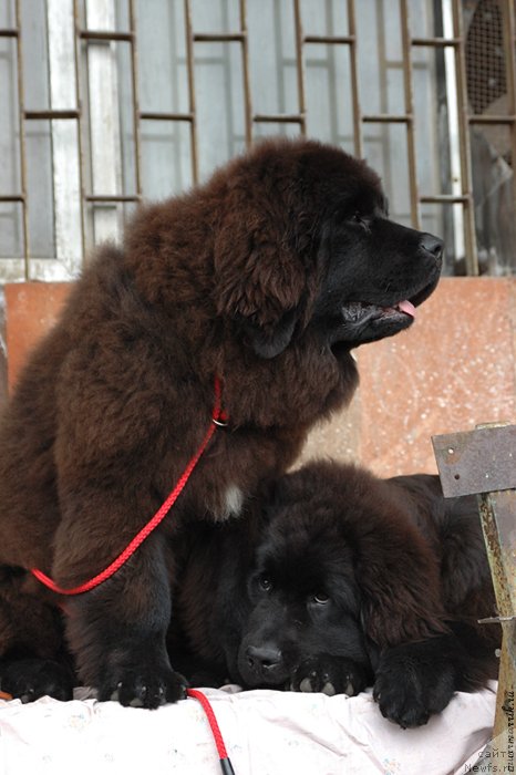 Фотография № 129530