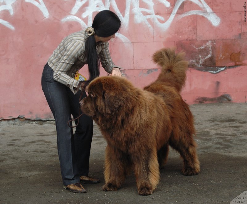 Фотография № 129532