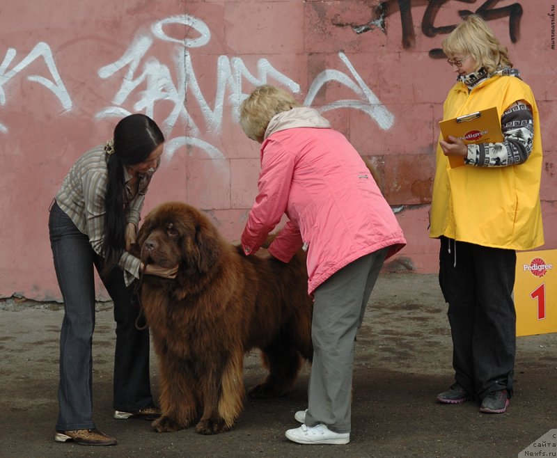 Фотография № 129533