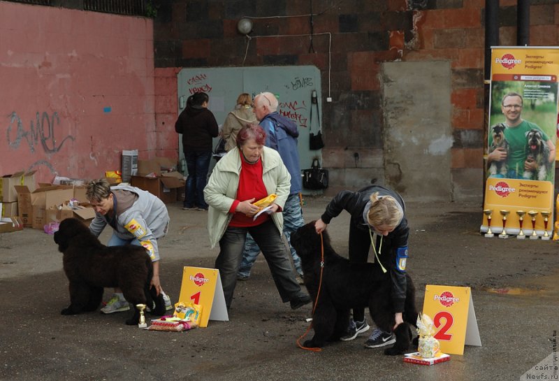 Фотография № 129535