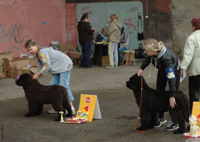 Фотография № 129536