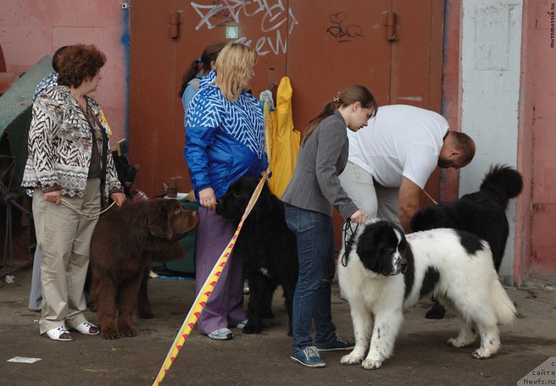 Фотография № 129538