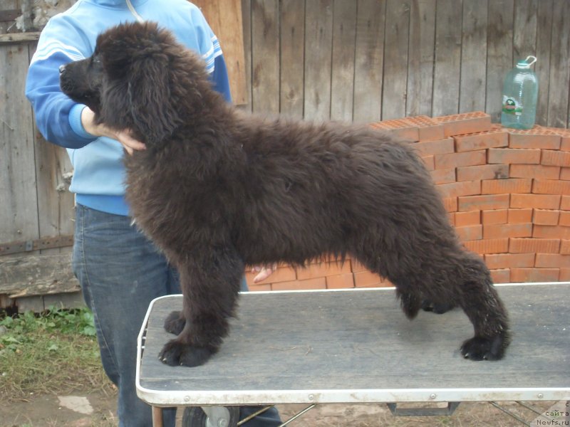 Фото: Nataliya Vitkovskaya (Наталия Витковская)