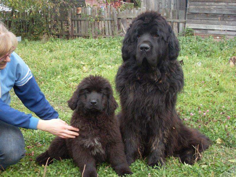 Фото: Nataliya Vitkovskaya (Наталия Витковская)