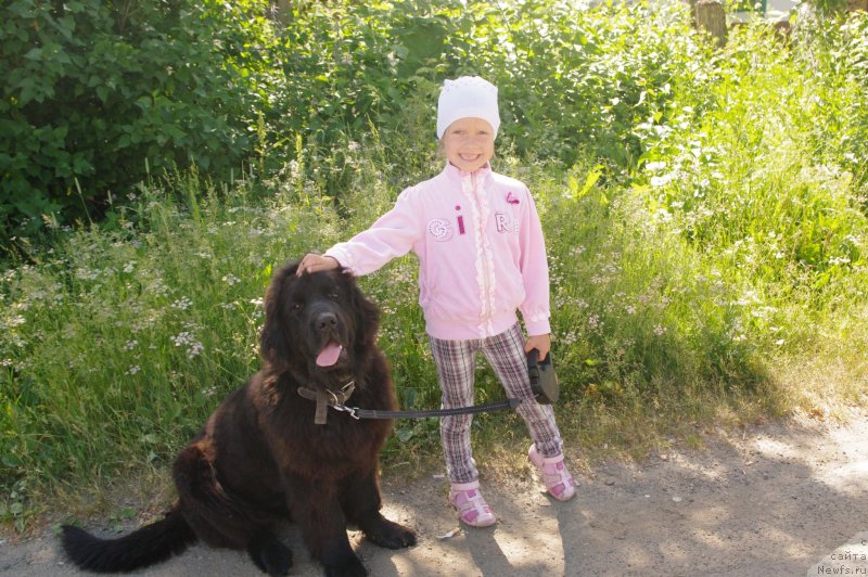 Фотография № 129626