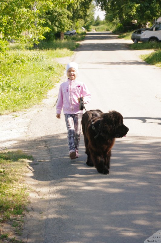 Фотография № 129630