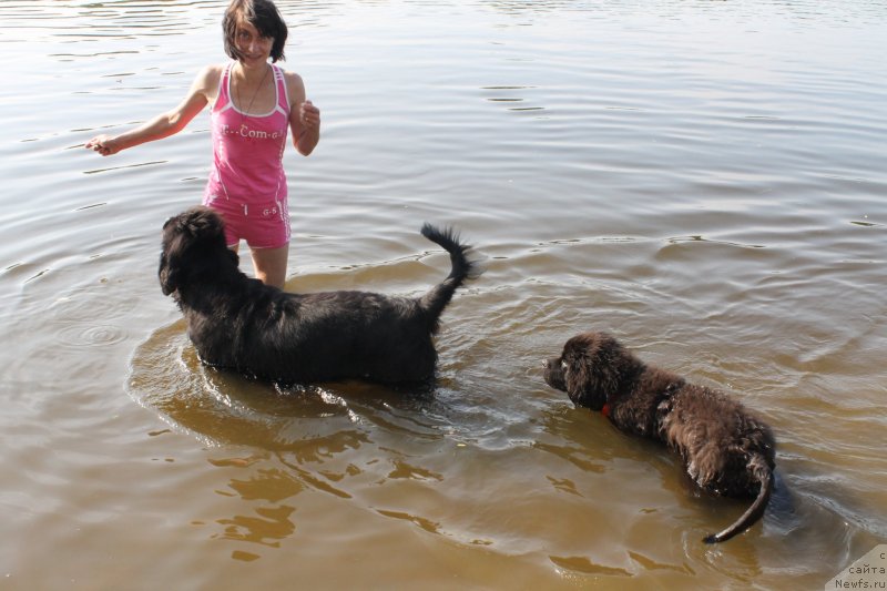 Фотография № 129640