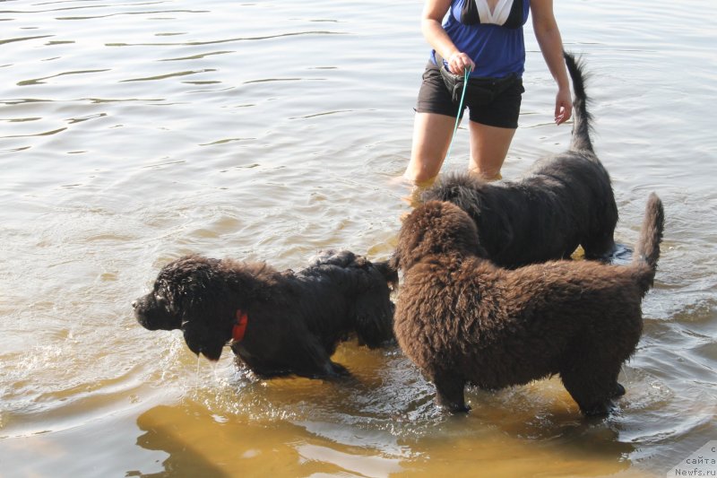 Фотография № 129644