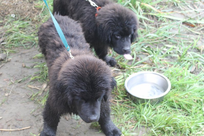 Фотография № 129648