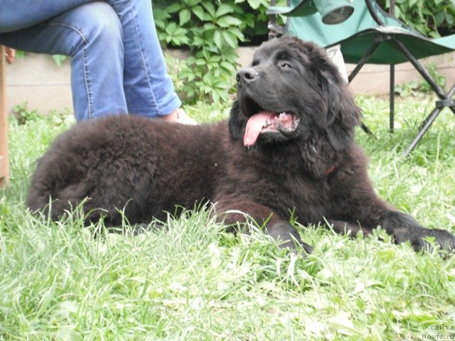 Фотография № 129664