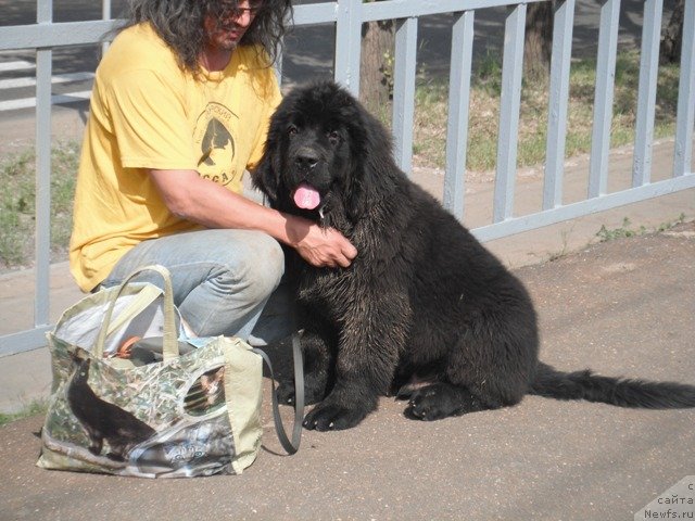 Фотография № 129665