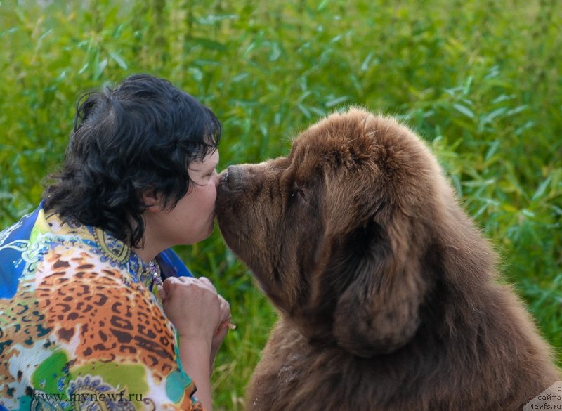 Фото: ньюфаундленд Aetna vom Riesrand (Aetna vom Riesrand), Varvara Ryibalova (Варвара Рыбалова)