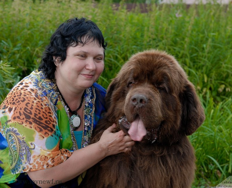 Фото: ньюфаундленд Aetna vom Riesrand (Aetna vom Riesrand), Varvara Ryibalova (Варвара Рыбалова)