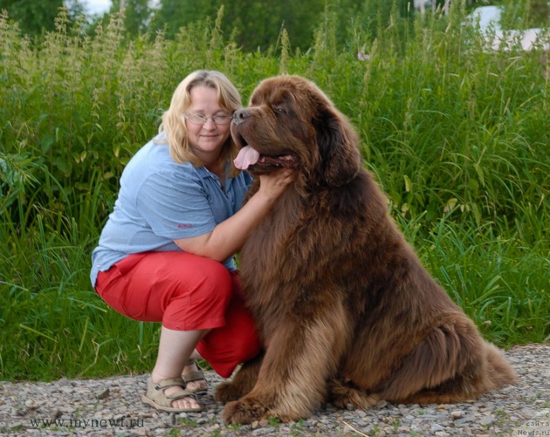 Фото: ньюфаундленд Aetna vom Riesrand (Aetna vom Riesrand), YUliya YAstrebova (Юлия Ястребова)