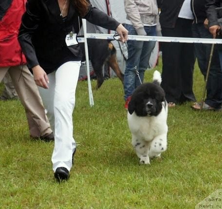 Фотография № 129773