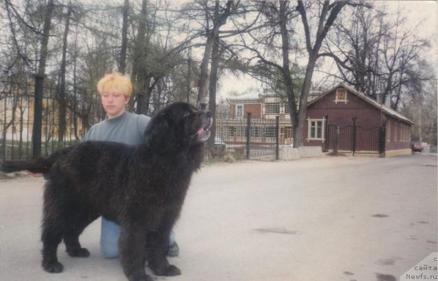 Фото: Ekaterina Kuznecova (Екатерина Кузнецова), Жанетта Бьюкент Гранд