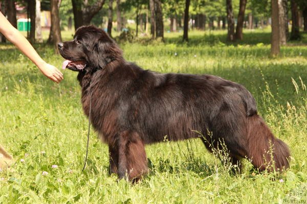 Фотография № 129795