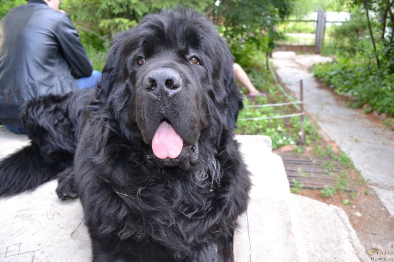 Фотография № 129812