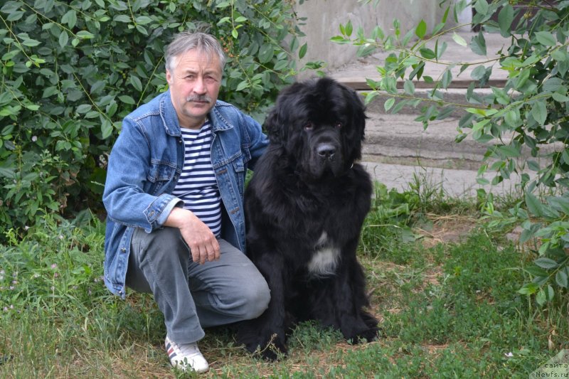 Фотография № 129816