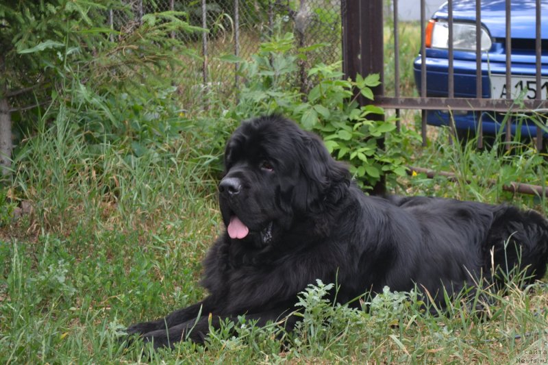 Фотография № 129819